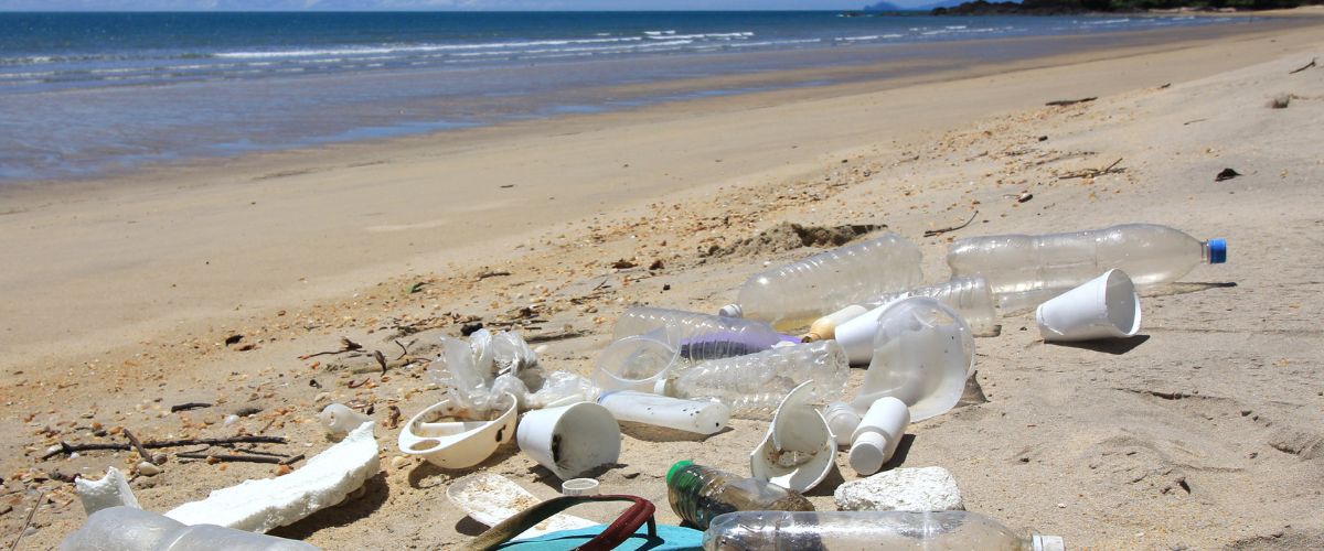 déchets plastique plage océan